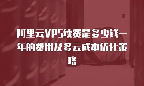 阿里云VPS续费是多少钱一年的费用及多云成本优化策略