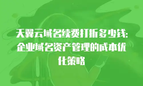 天翼云域名续费打折多少钱：企业域名资产管理的成本优化策略