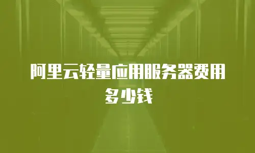 阿里云轻量应用服务器费用多少钱