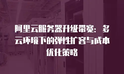 阿里云服务器升级带宽：多云环境下的弹性扩容与成本优化策略