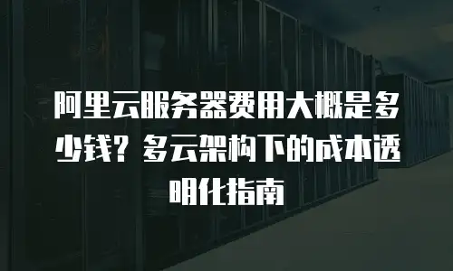 阿里云服务器费用大概是多少钱？多云架构下的成本透明化指南