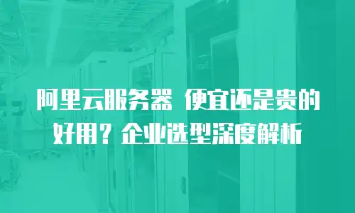 阿里云服务器 便宜还是贵的好用？企业选型深度解析