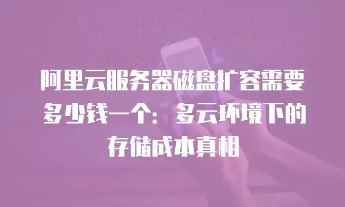 阿里云服务器磁盘扩容需要多少钱一个：多云环境下的存储成本真相