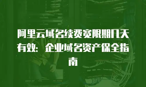 阿里云域名续费宽限期几天有效：企业域名资产保全指南