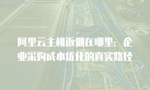 阿里云主机返佣在哪里：企业采购成本优化的真实路径
