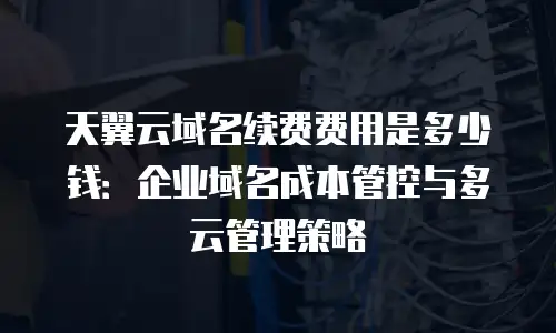 天翼云域名续费费用是多少钱：企业域名成本管控与多云管理策略