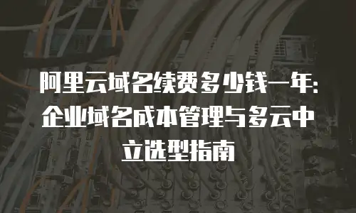 阿里云域名续费多少钱一年：企业域名成本管理与多云中立选型指南
