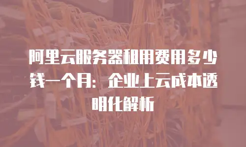 阿里云服务器租用费用多少钱一个月：企业上云成本透明化解析