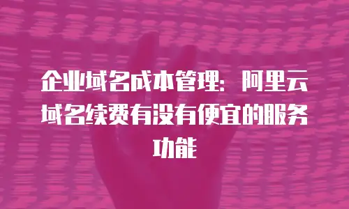 企业域名成本管理：阿里云域名续费有没有便宜的服务功能
