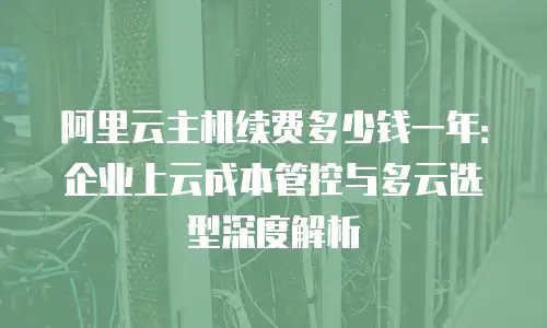 阿里云主机续费多少钱一年：企业上云成本管控与多云选型深度解析