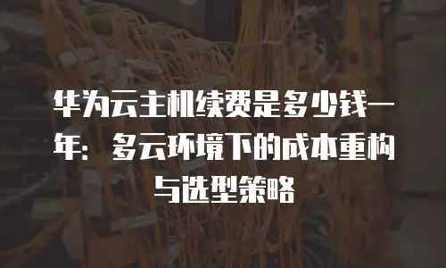华为云主机续费是多少钱一年：多云环境下的成本重构与选型策略