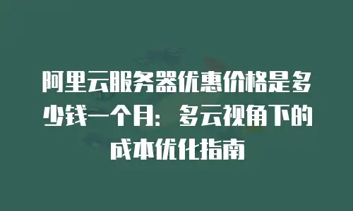阿里云服务器优惠价格是多少钱一个月：多云视角下的成本优化指南