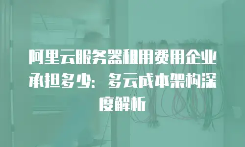 阿里云服务器租用费用企业承担多少：多云成本架构深度解析