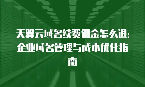 天翼云域名续费佣金怎么退：企业域名管理与成本优化指南