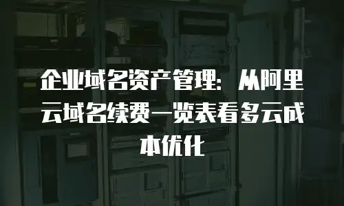 企业域名资产管理：从阿里云域名续费一览表看多云成本优化