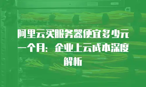 阿里云买服务器便宜多少元一个月：企业上云成本深度解析