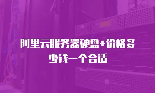 阿里云服务器硬盘+价格多少钱一个合适