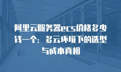 阿里云服务器ecs价格多少钱一个：多云环境下的选型与成本真相
