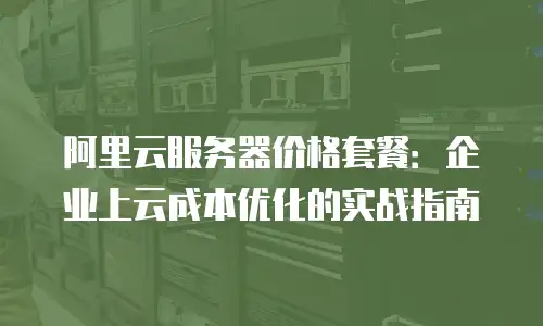 阿里云服务器价格套餐：企业上云成本优化的实战指南