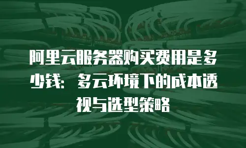 阿里云服务器购买费用是多少钱：多云环境下的成本透视与选型策略