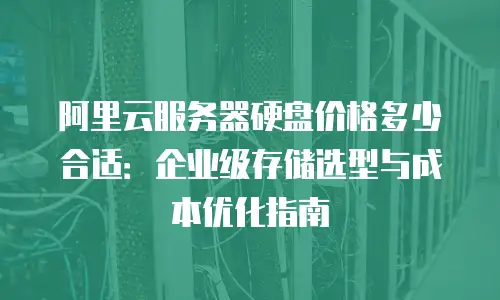阿里云服务器硬盘价格多少合适：企业级存储选型与成本优化指南