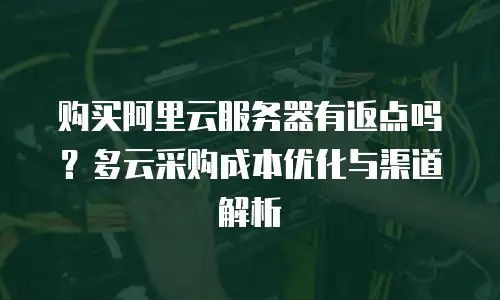 购买阿里云服务器有返点吗？多云采购成本优化与渠道解析