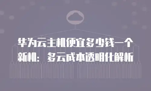华为云主机便宜多少钱一个新机：多云成本透明化解析