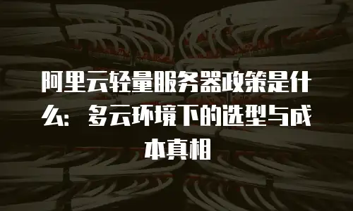 阿里云轻量服务器政策是什么：多云环境下的选型与成本真相