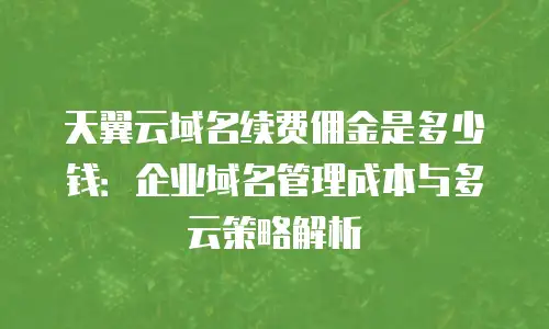 天翼云域名续费佣金是多少钱：企业域名管理成本与多云策略解析