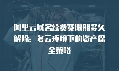 阿里云域名续费宽限期多久解除：多云环境下的资产保全策略