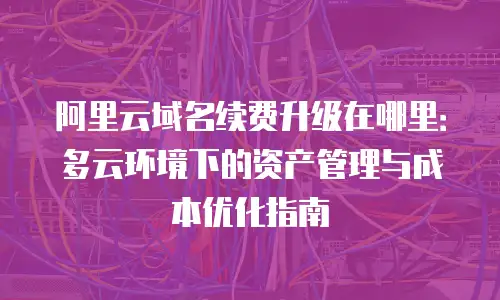 阿里云域名续费升级在哪里：多云环境下的资产管理与成本优化指南