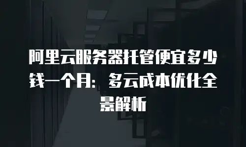 阿里云服务器托管便宜多少钱一个月：多云成本优化全景解析