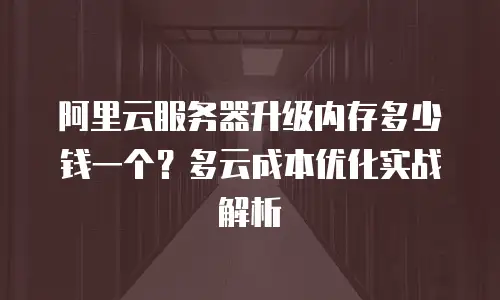 阿里云服务器升级内存多少钱一个？多云成本优化实战解析