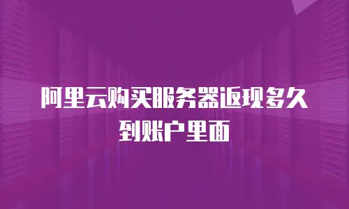 阿里云购买服务器返现多久到账户里面