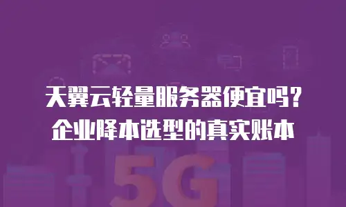 天翼云轻量服务器便宜吗？企业降本选型的真实账本