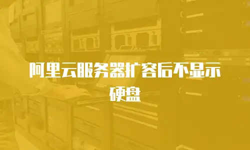 阿里云服务器扩容后不显示硬盘