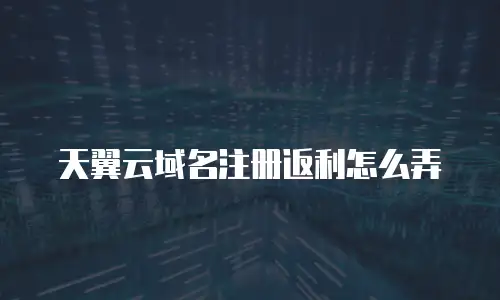 天翼云域名注册返利怎么弄