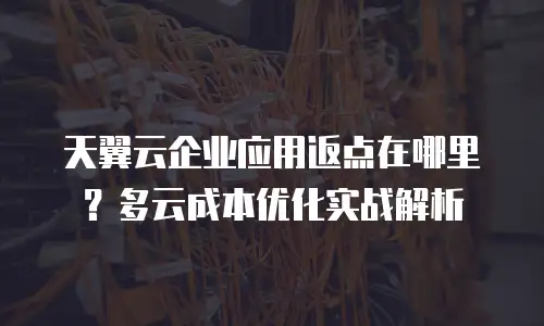天翼云企业应用返点在哪里？多云成本优化实战解析