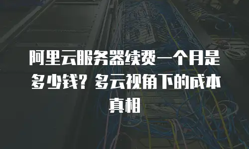 阿里云服务器续费一个月是多少钱？多云视角下的成本真相