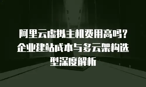 阿里云虚拟主机费用高吗？企业建站成本与多云架构选型深度解析