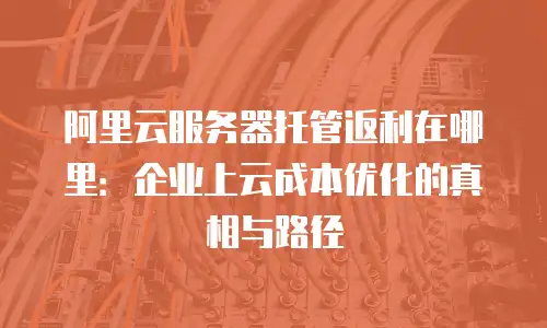 阿里云服务器托管返利在哪里：企业上云成本优化的真相与路径