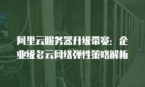 阿里云服务器升级带宽：企业级多云网络弹性策略解析
