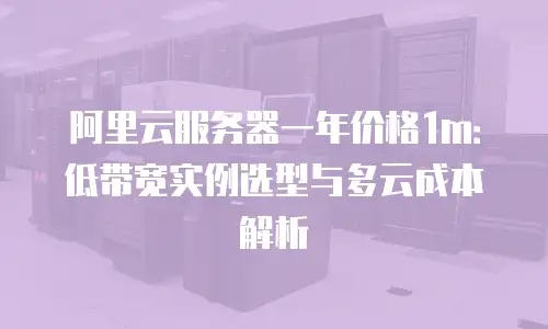 阿里云服务器一年价格1m：低带宽实例选型与多云成本解析