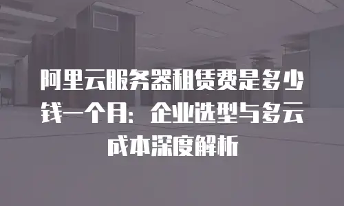阿里云服务器租赁费是多少钱一个月：企业选型与多云成本深度解析