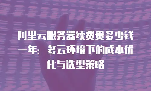 阿里云服务器续费贵多少钱一年：多云环境下的成本优化与选型策略