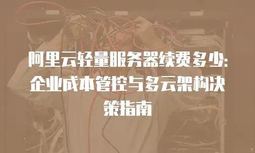 阿里云轻量服务器续费多少：企业成本管控与多云架构决策指南