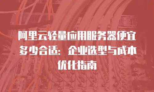 阿里云轻量应用服务器便宜多少合适：企业选型与成本优化指南