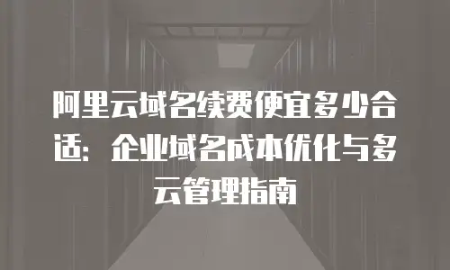 阿里云域名续费便宜多少合适：企业域名成本优化与多云管理指南
