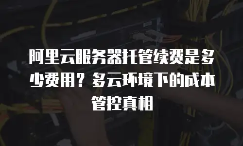 阿里云服务器托管续费是多少费用？多云环境下的成本管控真相