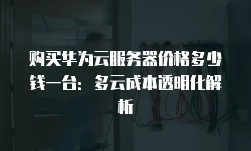 购买华为云服务器价格多少钱一台：多云成本透明化解析
